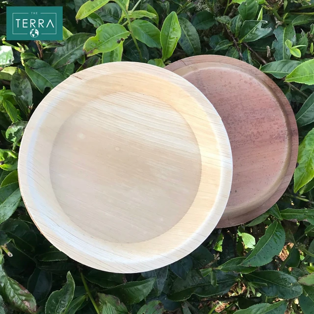 Home Garden Vietnam Tabletop Kitchen 12 cm x 4 cm Disposable Tableware Areca leaf Round Food Bowl 12 With None Accessories