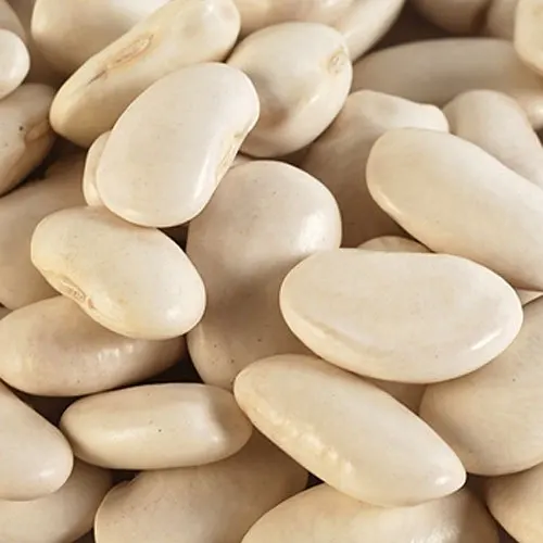 Company Price New crop baby lima beans Cheap