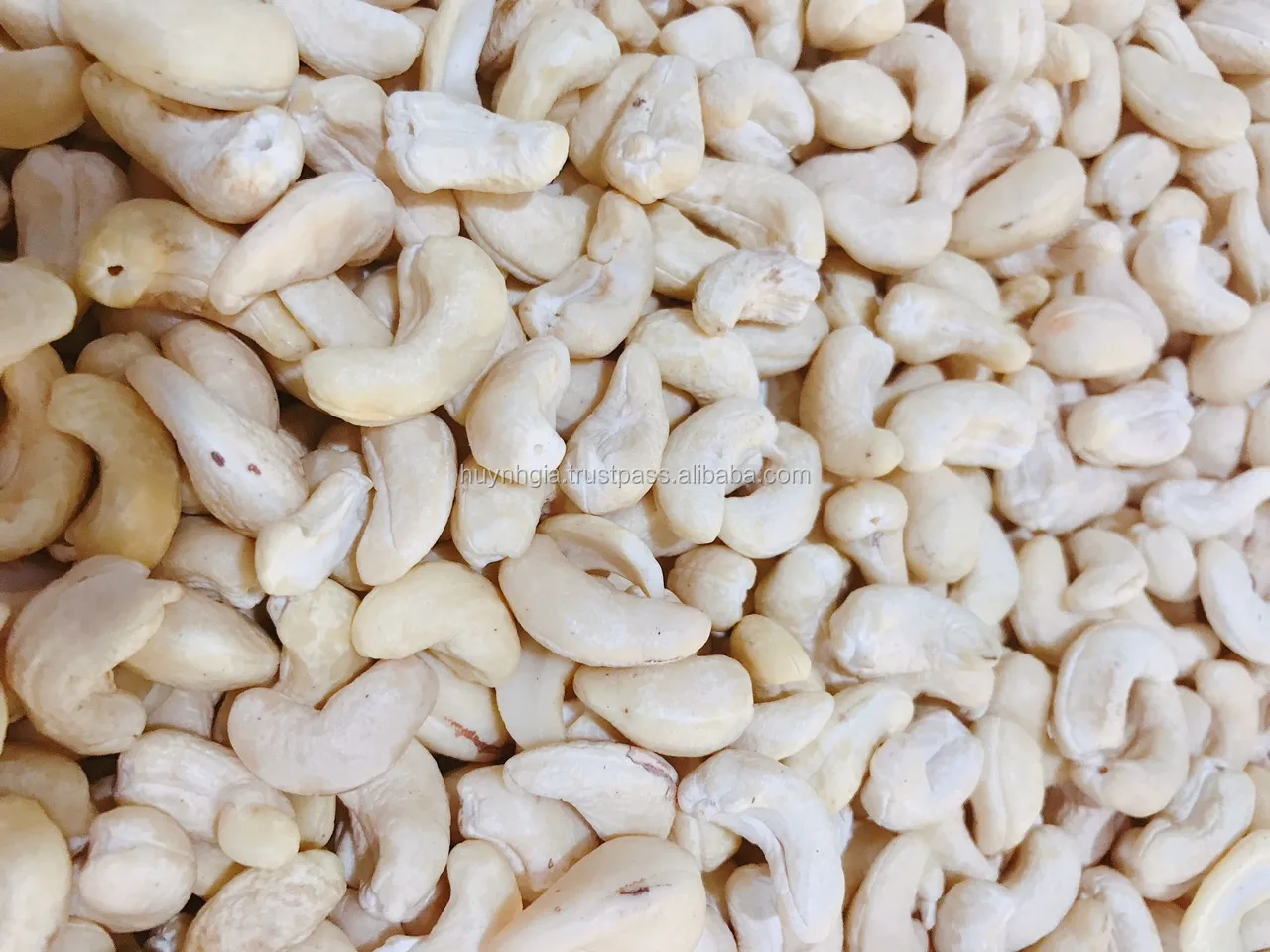 BEST PRICE FOR RAW PRODUCT WW240, W320 - BROKEN PIECES CASHEW NUTS WS/LP/SP/BB FROM VIETNAM WITH HIGH QUALITY