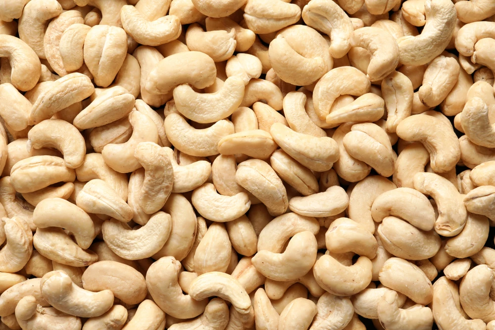 High Quality Cashew Nuts Cashew W180- W240- W320- W450 Cashew without shell, new season Vietnam
