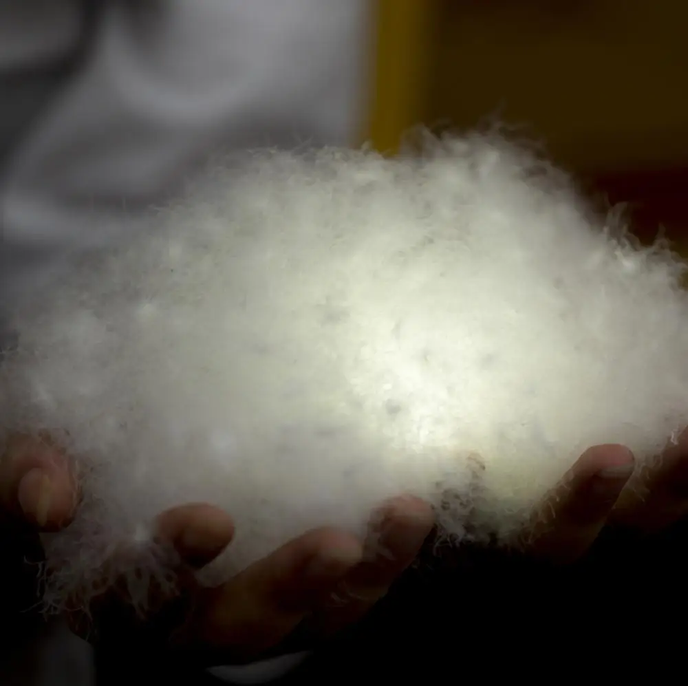 New Washed White/Grey Vietnam  duck down 80/20 filling  for pillows, quilts,sleeping bags