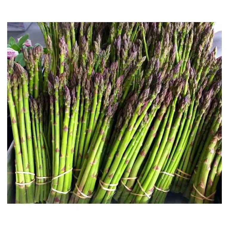 Wholesale Price Fresh Asparagus Vegetables Available for Sale Bulk Quantity