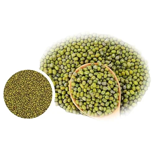 
Premium Quality Green Mung Beans 