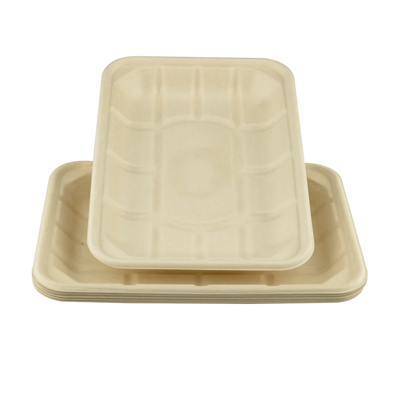 WholeSale sugarcane bagasse pulp paper food tray for meat eco-friendly biodegradable disposable compostable
