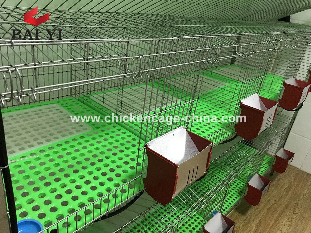 Easy Clean Rabbit Cage In Kenya Farm With Plastic Rabbit Cage Trays