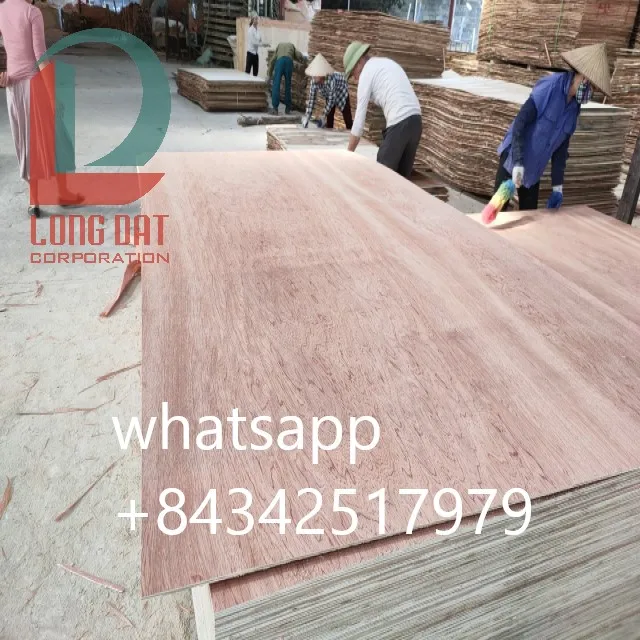 Plywoods for sale - Commercial Plywood vietnam- high quality- Cheap Plywoods boards