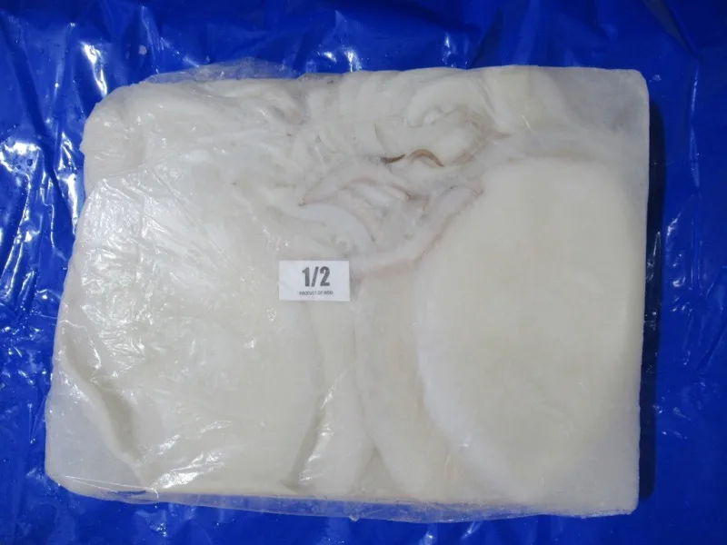 Top quality Cuttlefish cleaned block frozen from India