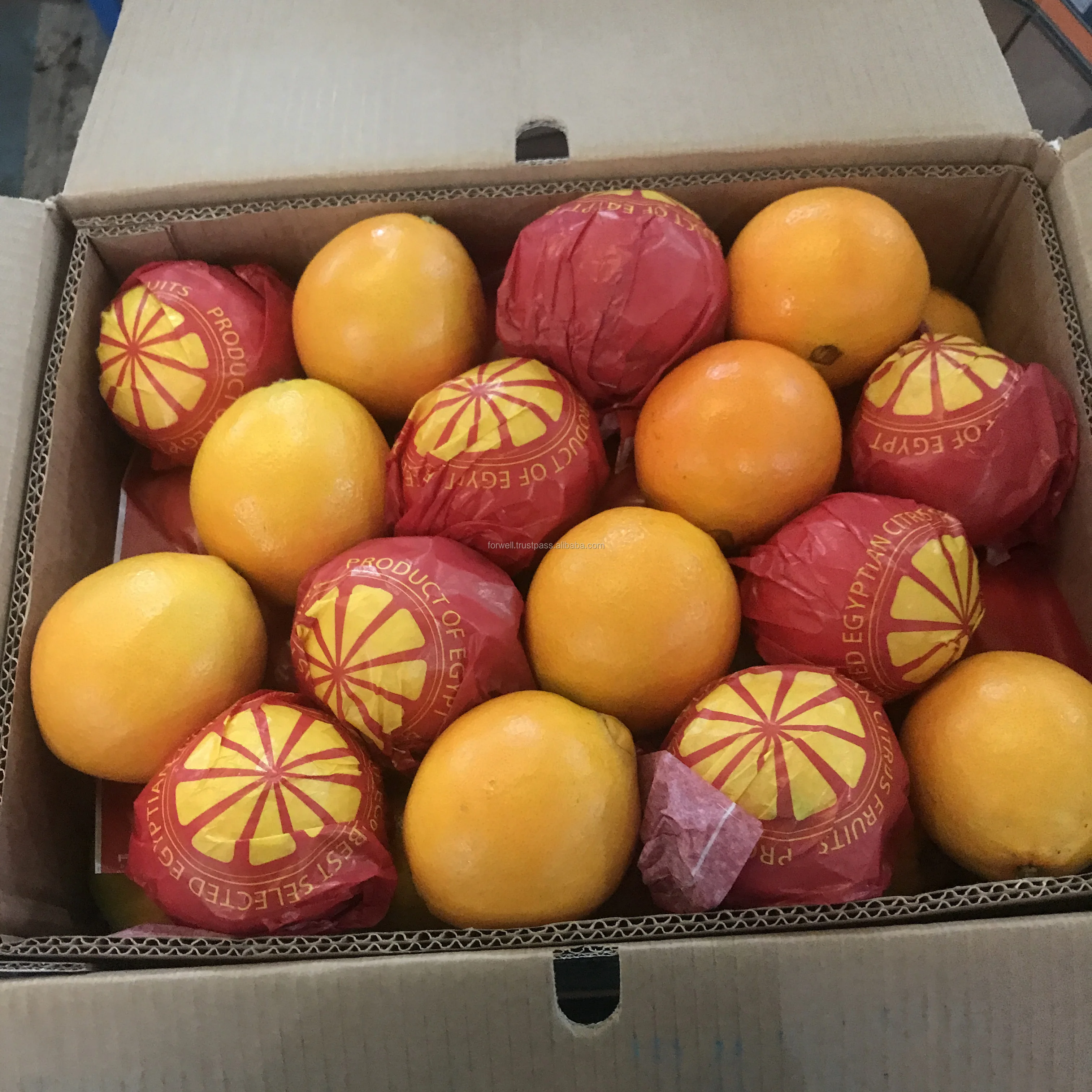 CARTON PACKING OF FRESH CITRUS ORANGE EXPORTING TO MANY COUNTRIES FROM EGYPT