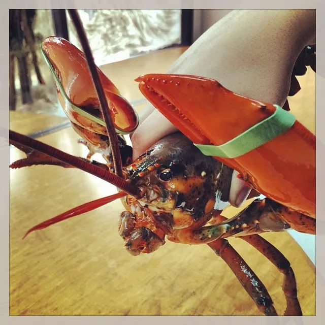 lobster from Indonesia with Japanese and American export standards Frozen Bamboo Lobster