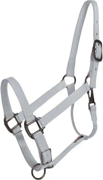 Durable Nylon Horse Halter Hardware Buckles Horse Head Collars Customized Leather Horse Halters with Brass and Steel PVC Webbing