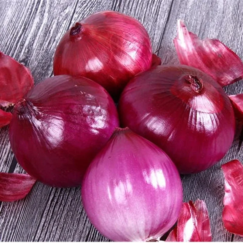 Fresh red onion with good quality for sale