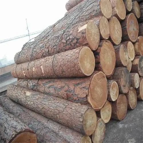 
Pine logs  (1600209275894)