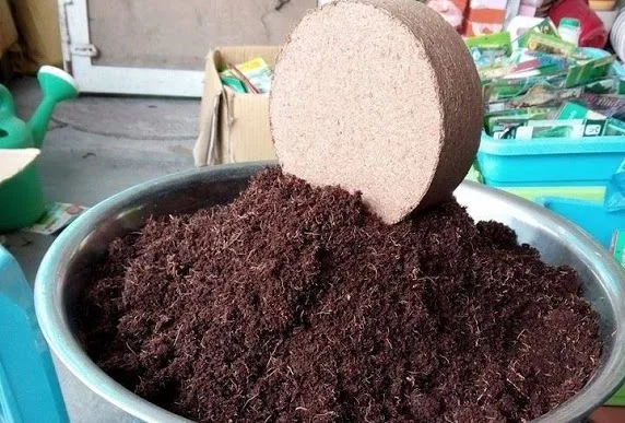 Торфяной блок кокосового цвета для выращивания растений _ изготовлен из ...