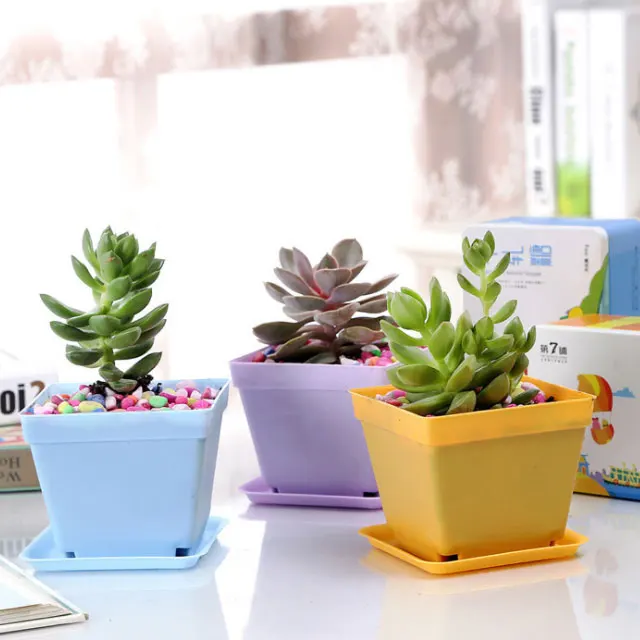 Factory Wholesale Indoor Multi Color Plastic Flowers Pots with Tray for Plants