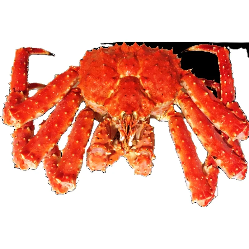 Best Quality Fresh Live Red King Crab Norwegian King Crab Alaskan King Crab/Buy Russian King Crab/Hot sales King Crab Legs