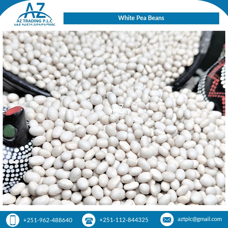 Bulk Supplier of Premium Grade Uniform Bright White Organic White Pea Beans/ Ethiopian Kidney Beans