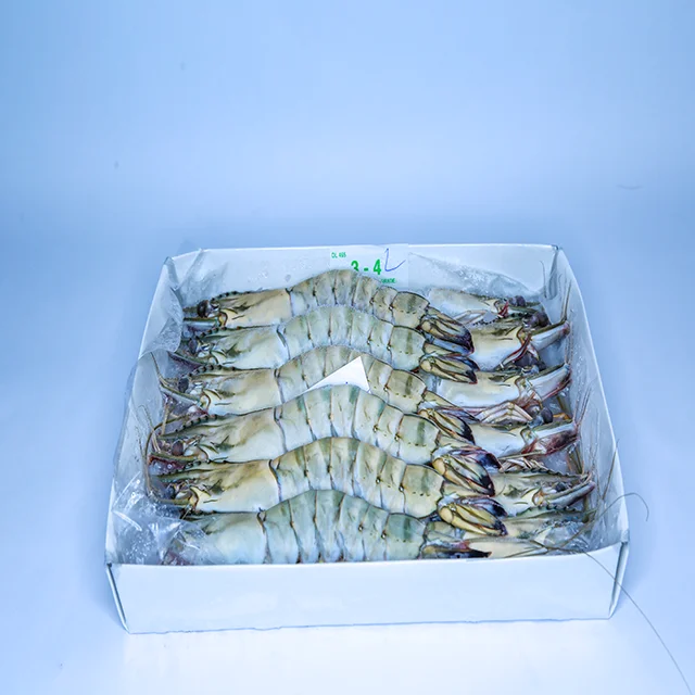 
Black Tiger Shrimp From Viet Nam 