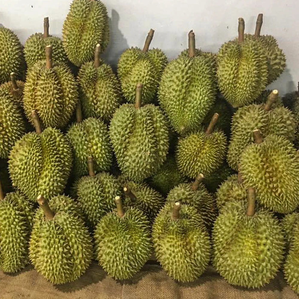 Король фруктов Таиланда свежие органические Золотые желтые дуриан мононги со сладким вкусом заказчика