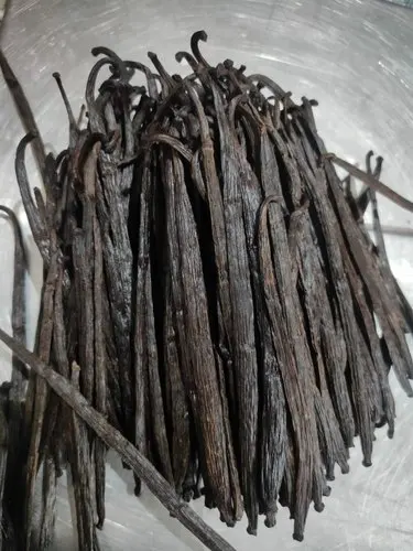 vanila-beans-500x500 (1).jpg