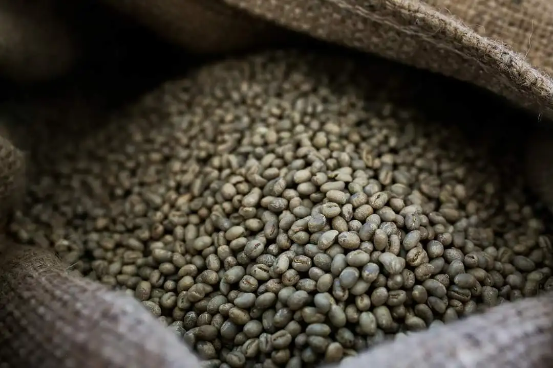  Бач Вьетнам жареные кофейные зерна Peaberry (Culi) кофе из цельных зерен свежежареный справедливая