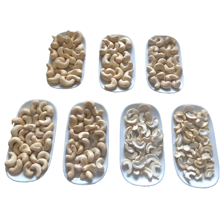 High quality Cashew Nuts W240 from Vietnam / All sizes and Carefully packaged (As requires)