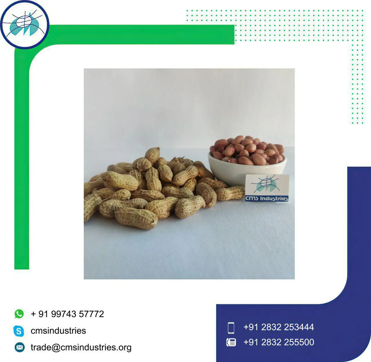 Надежный поставщик заземляющих гаек в корпусе