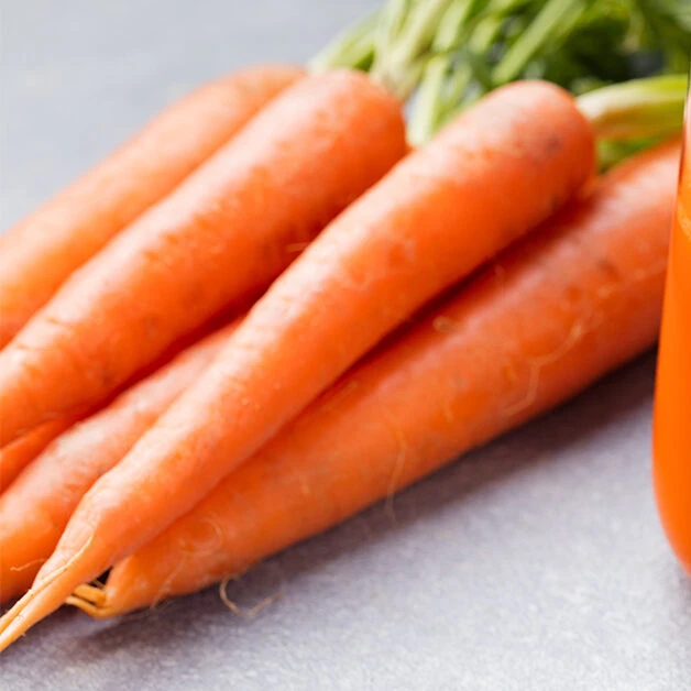 
Fresh carrots fresh vegetables organic carrot wholesale price 