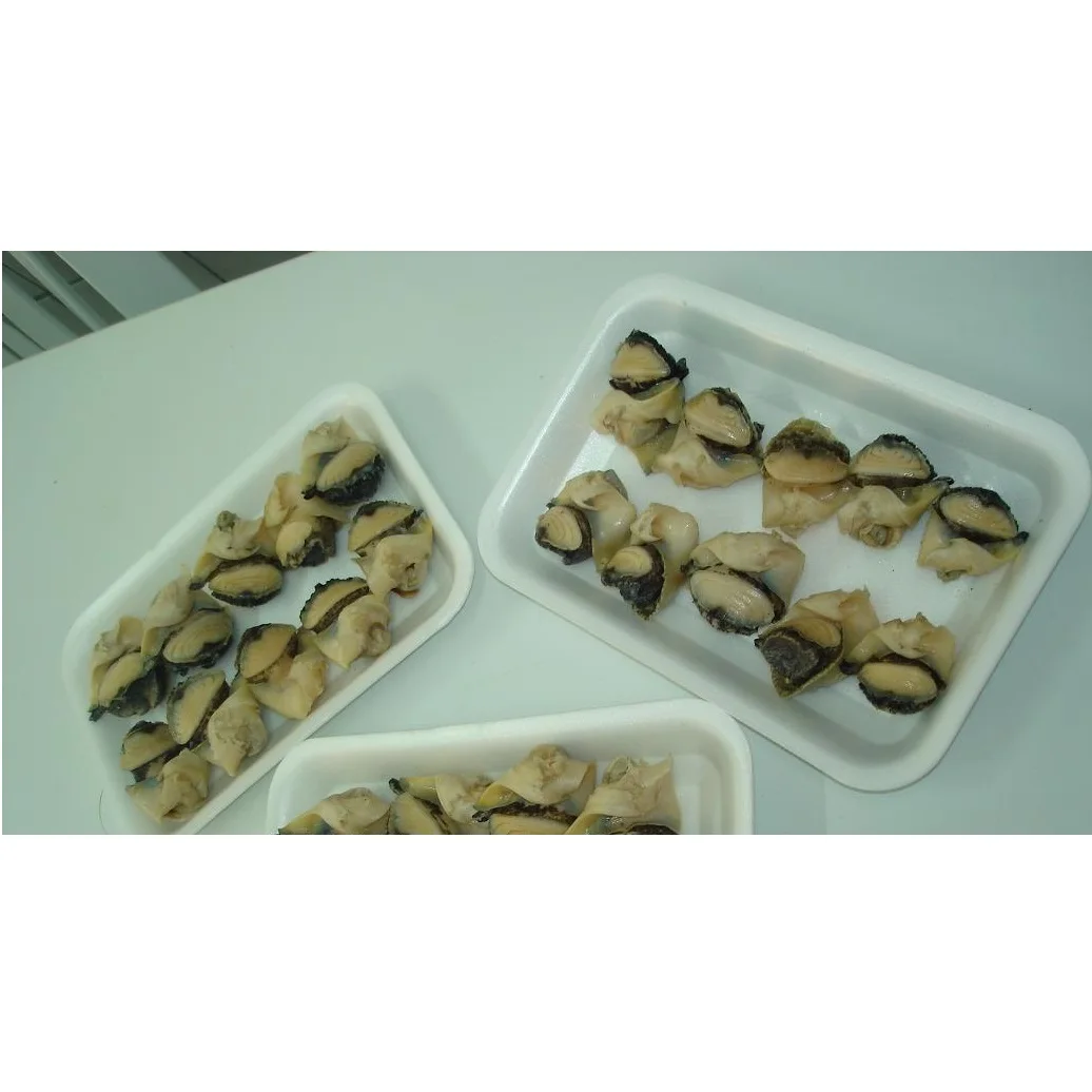 Frozen Cooked Whelk Meat