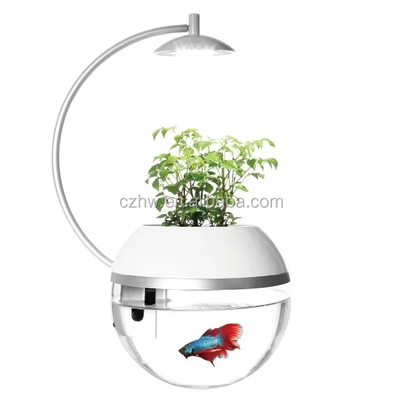 Herb & Fish X Connect Premium gift fish tank and herb symbiosis