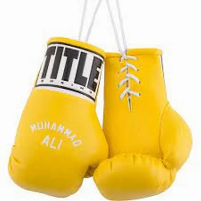 Latest design with Customized Logo Print Mini Boxing Gloves Keychain  OR Car mirror hang Made in Leather