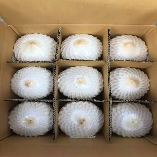White Color Semi-Husked Type coconut fresh coconut young coconut- cocobe export from Thailand