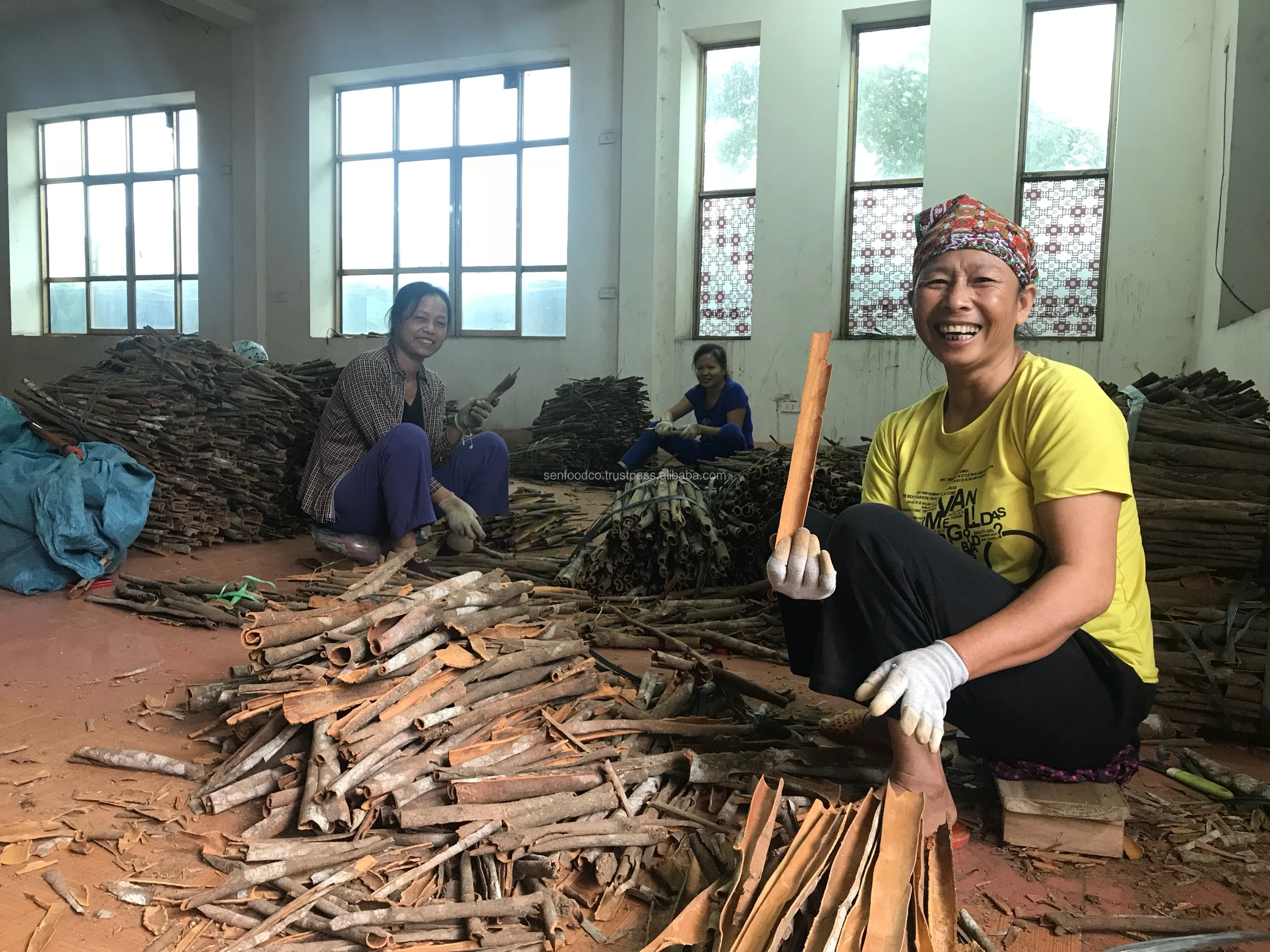 Высококачественная разделенная Корица/разделенная Кассия из Вьетнама CONTACT + 84 934 449 569