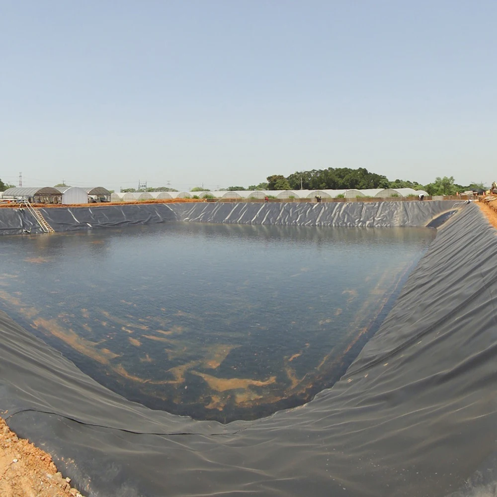 Пластиковые листы для рыбной фермы креветки 1 5 мм ПЭ непромокаемый стойкие гидроизоляционные кровельные мембраны фольги Прямая продажа с фабрики