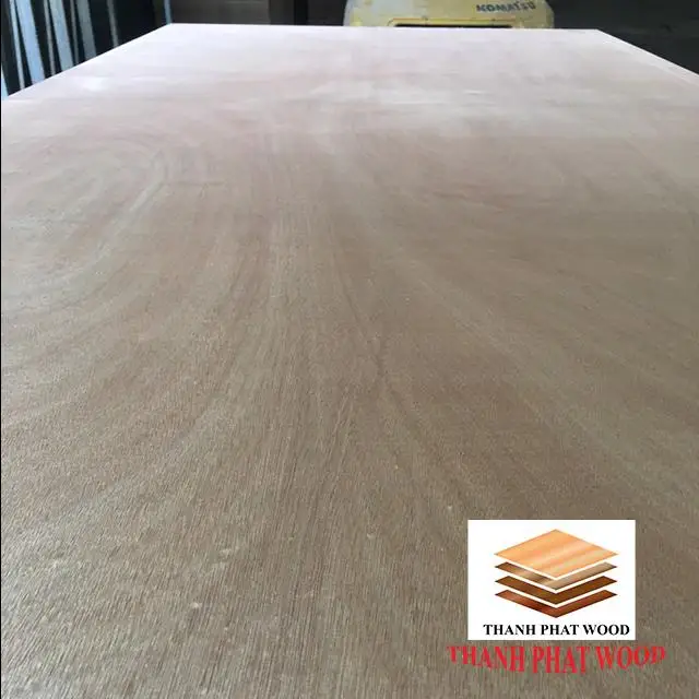 Modern Design Commercial Plywood Okoume Face Veneer Melamine Surface Pine Birch Wood 9mm 12mm 15mm 18mm Thickness Hotels 1-Year