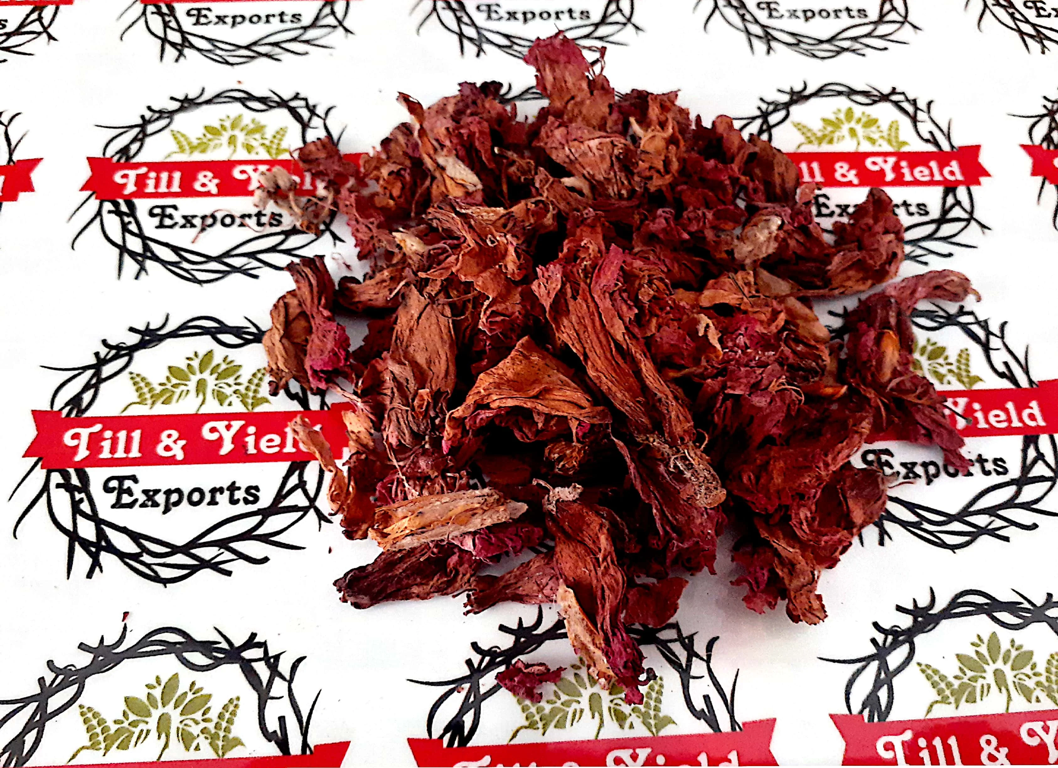 Factory Supply Dried Hibiscus Flower - Indian Origin Premium Quality Hibiscus Rosa sinensis