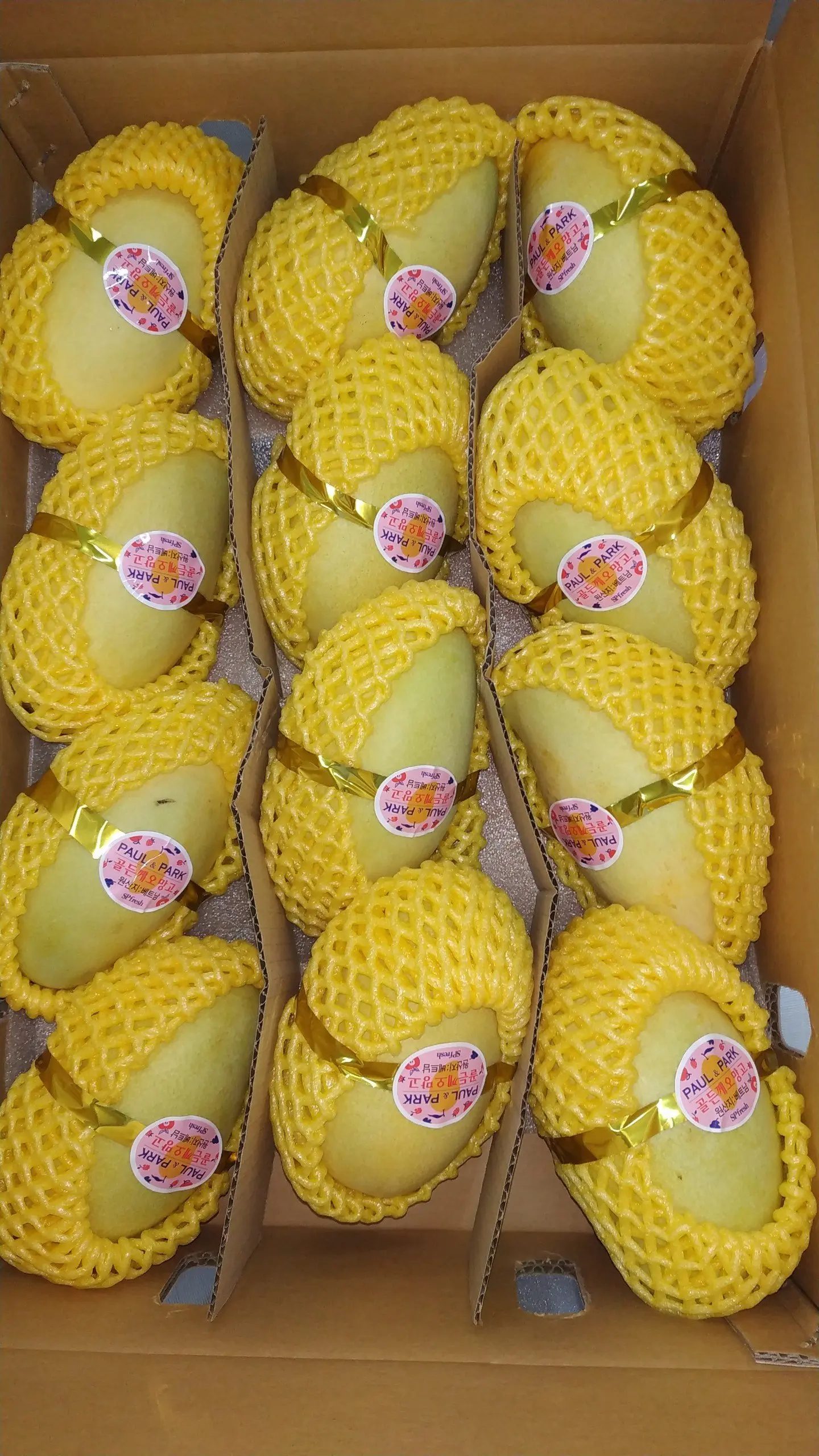 
Tropical fruits Vietnamese Keo mango specializes in wholesale good prices from Vietnam 