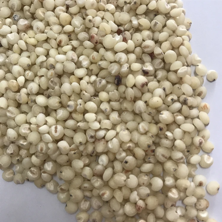 Распродажа 100% сушеные органические зерна белого сорго очень дешево для продажи