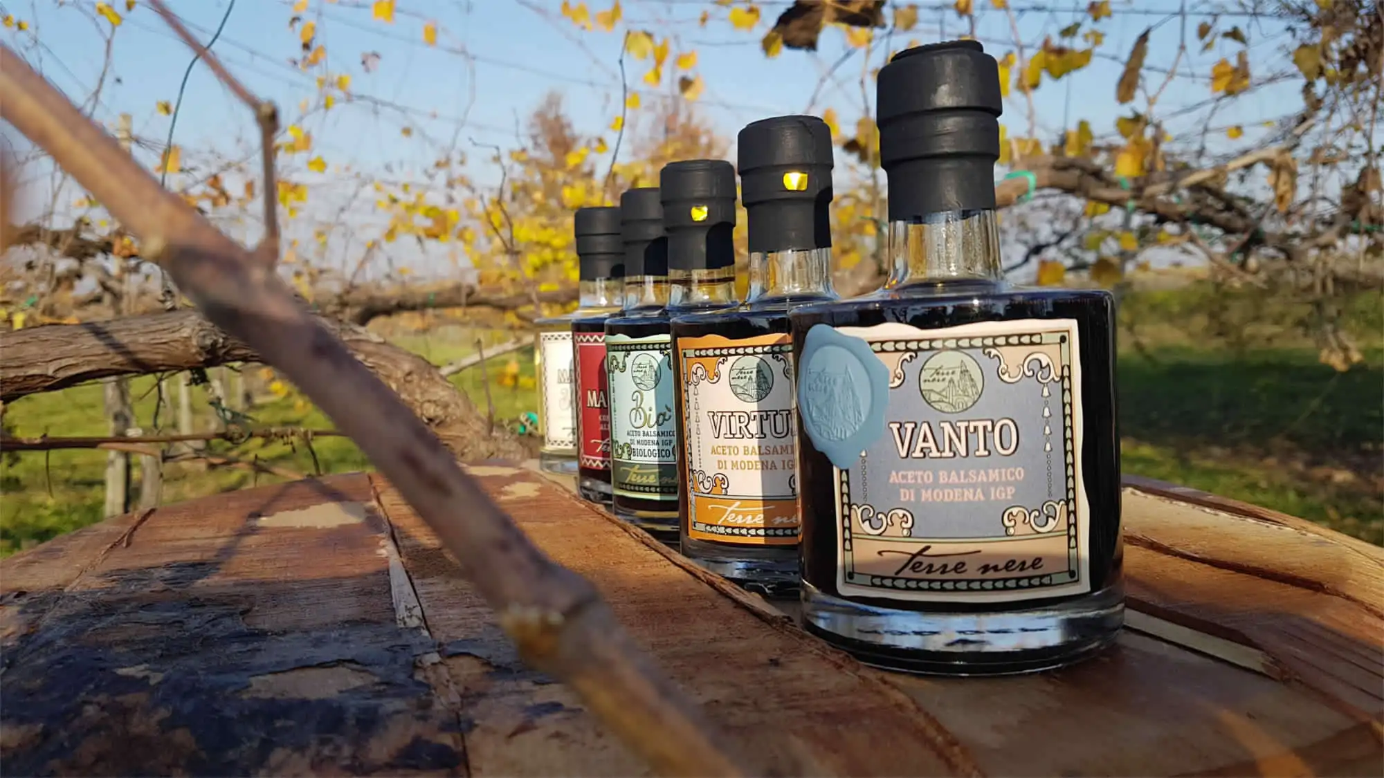 Premium quality vinegar condiment MAESTRO Blanche 50 ml 250 ml 500 ml Bettersweet seasoning perfect with fish food