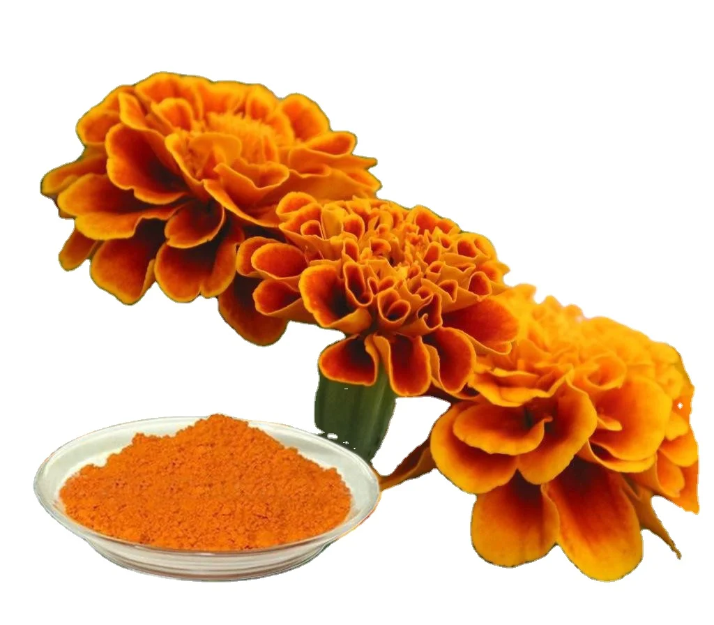Factory supply Good Quality Eye Protection Marigold Flower Extract Lutein
