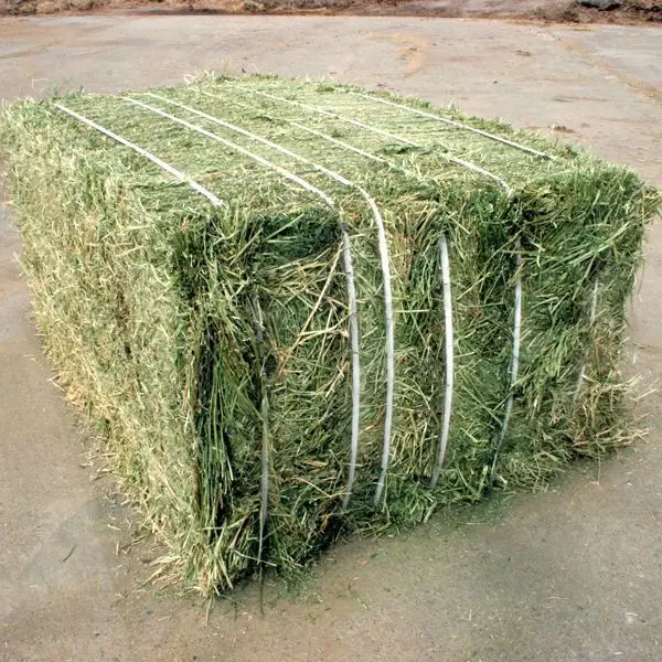  Первоклассное качество ALFALFA. Тюки 750 кг. 16%