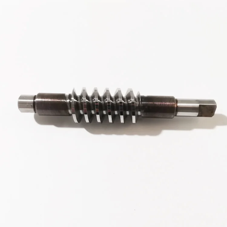 Worm Gear
