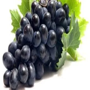 grapes A FROM EGYPT