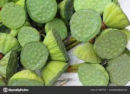 Peeled Clean Lotus Seeds/White lotus seeds/Delicious soup lotus seeds from Vietnam