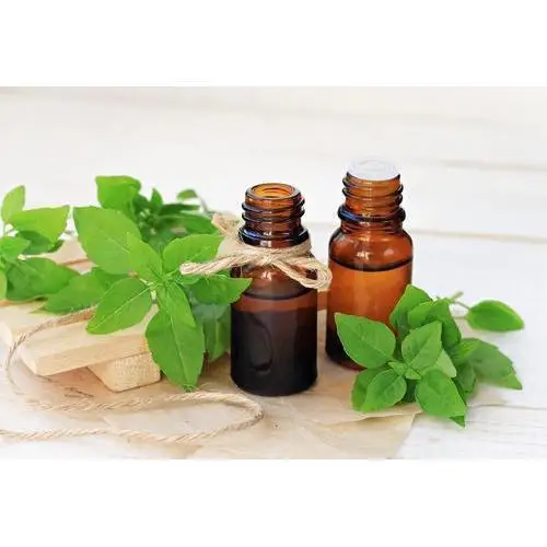 Bulk Selling Top Quality Raw Sweet Basil Leaves Organic Essential Oil Contract Manufacturing Service Available