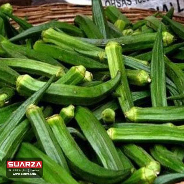 Здоровая форма свежий сезонный okra поставляется в Австралию Великобританию и другие страны по очень подходящей цене