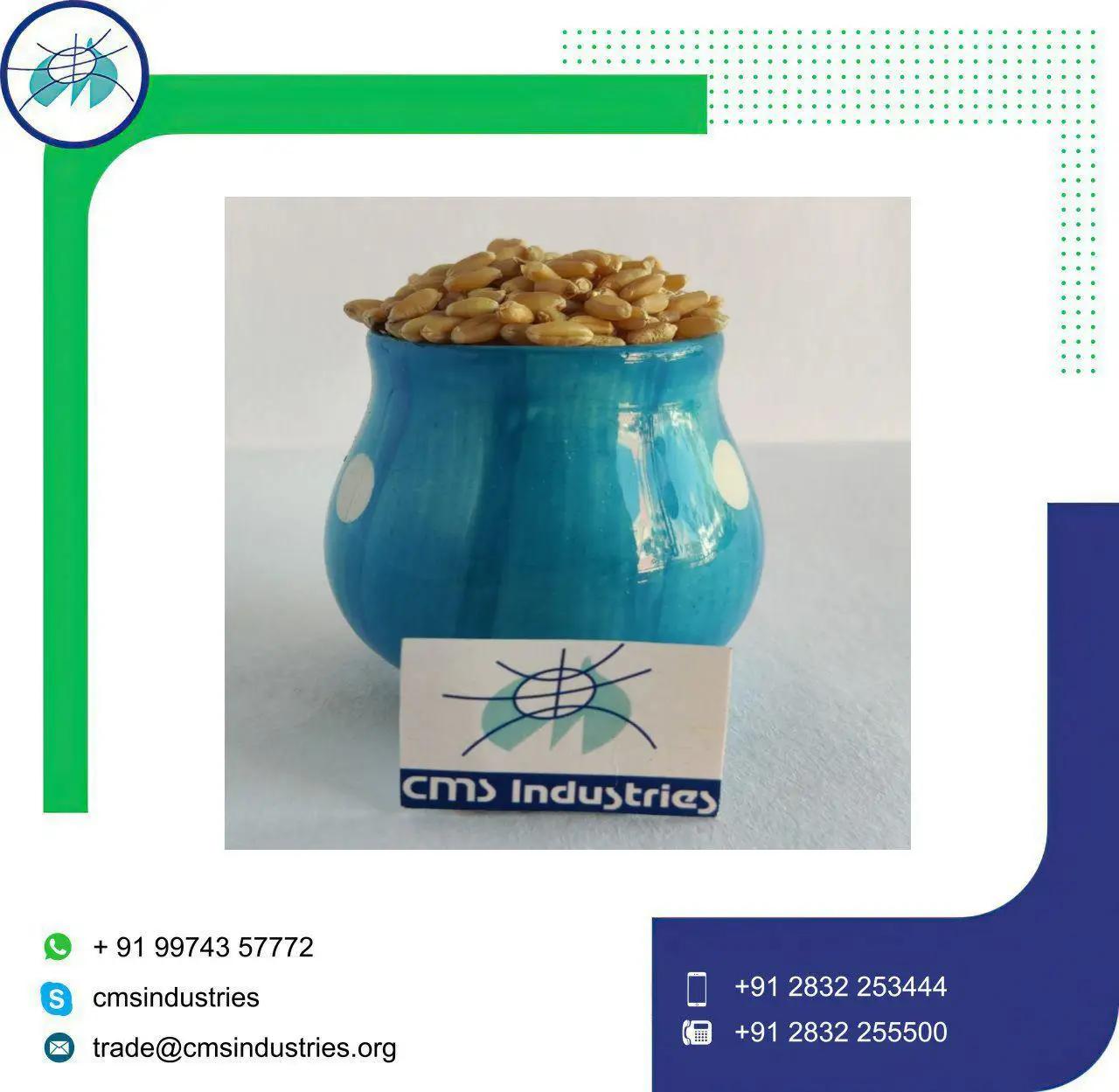 Натуральный экстракт пшеницы Sharbati