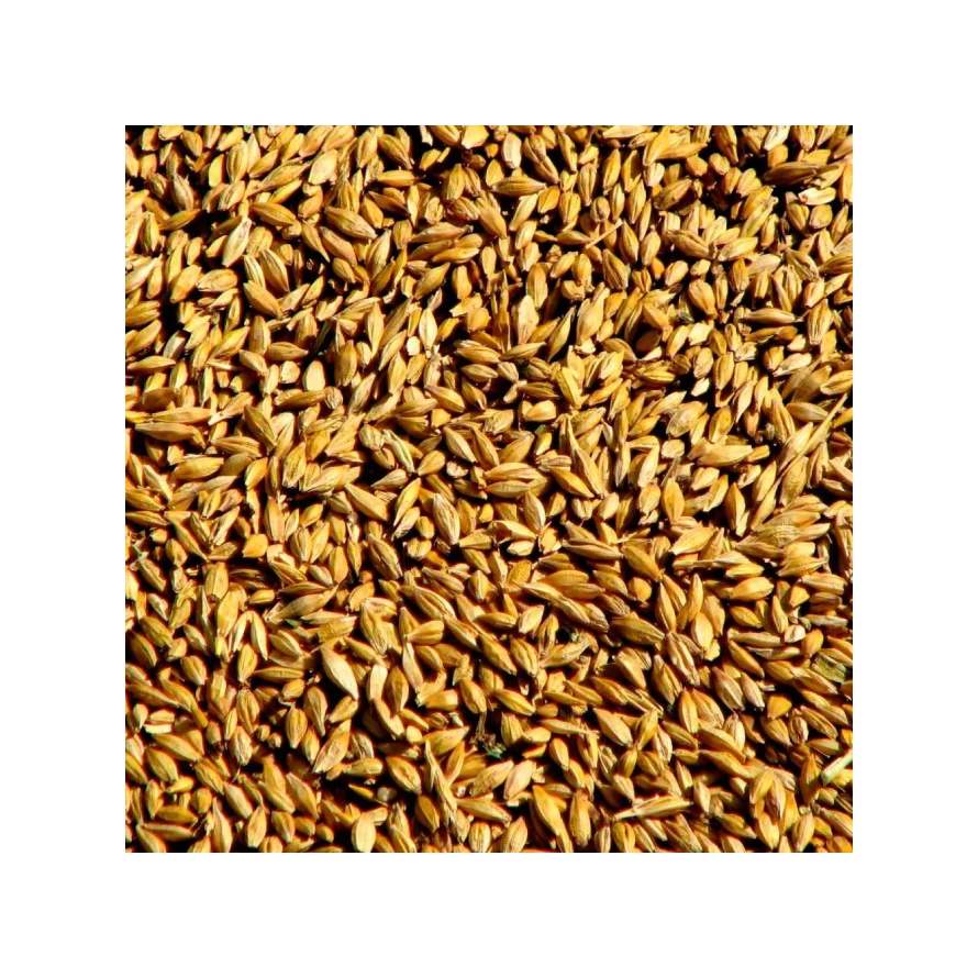 
 Rye для продажи с быстрой доставкой  