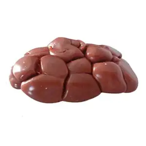 ORGANIC BEEF KIDNEY FRESH PROCESSING FROZEN BEEF KIDNEY HIGH QUALITY ORIGIN MONTENEGRO