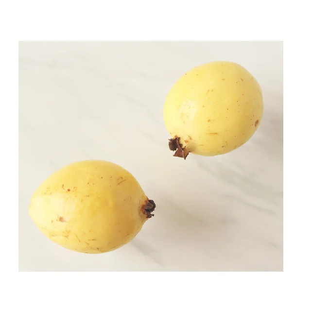 High Quality Organic Guava Fruit In Reasonable Prices