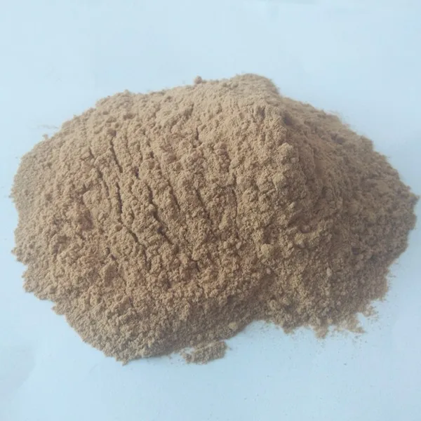 
Bacillus coagulans Probiotics 